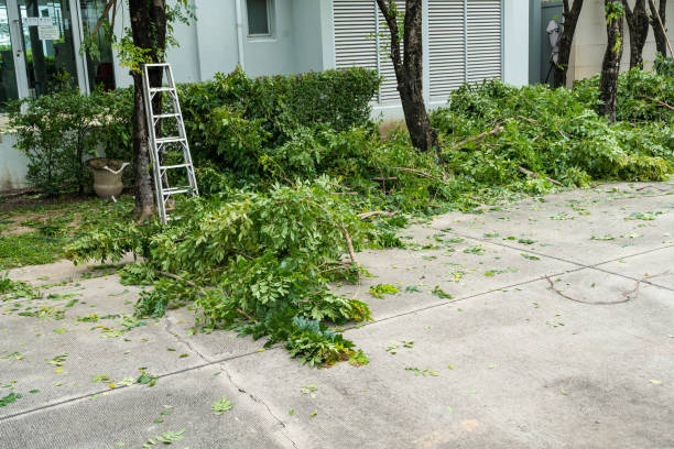 Best Lawn Watering Services  in Hudson, IL