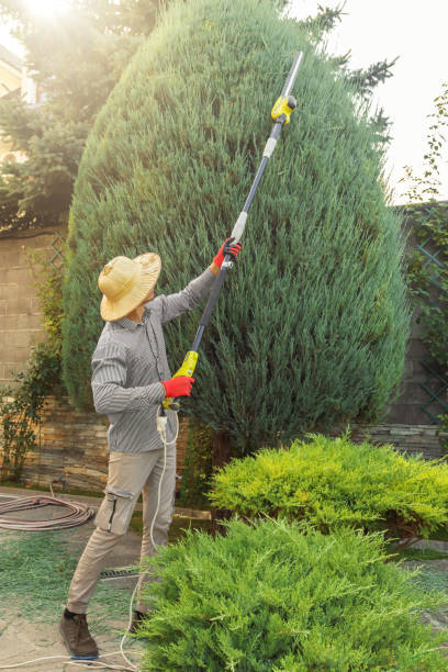 Best Tree Risk Assessment  in Hudson, IL
